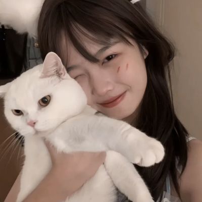 仙玉尘缘手游破解版下载